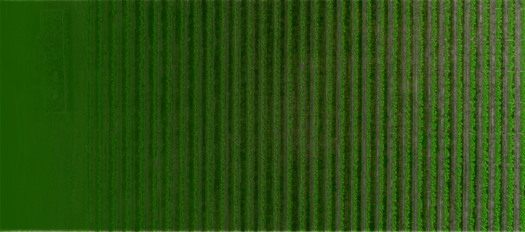 The Roadmap to Success: Why Every Agribusiness Needs a Strategic Business Plan