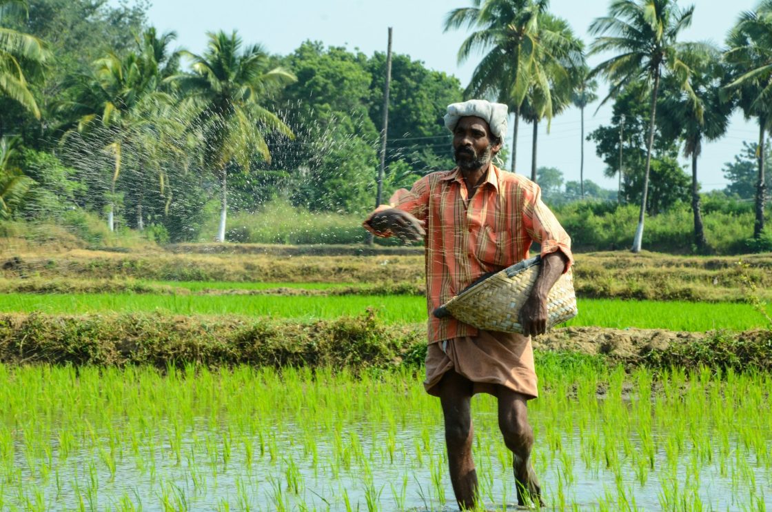 Agro Business Mistakes to Avoid: What Every Farmer Should Know ...