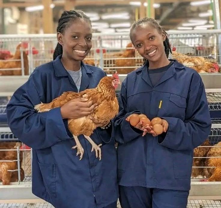 clacachi agrohub
