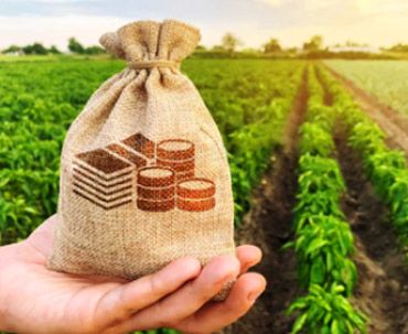 Agricultural Grants vs. Loans: Which Is Right for Your Business?